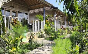 The Pancor Jungle Resort